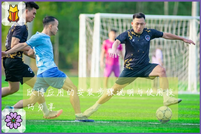 欧博应用的安装步骤说明与使用技巧分享